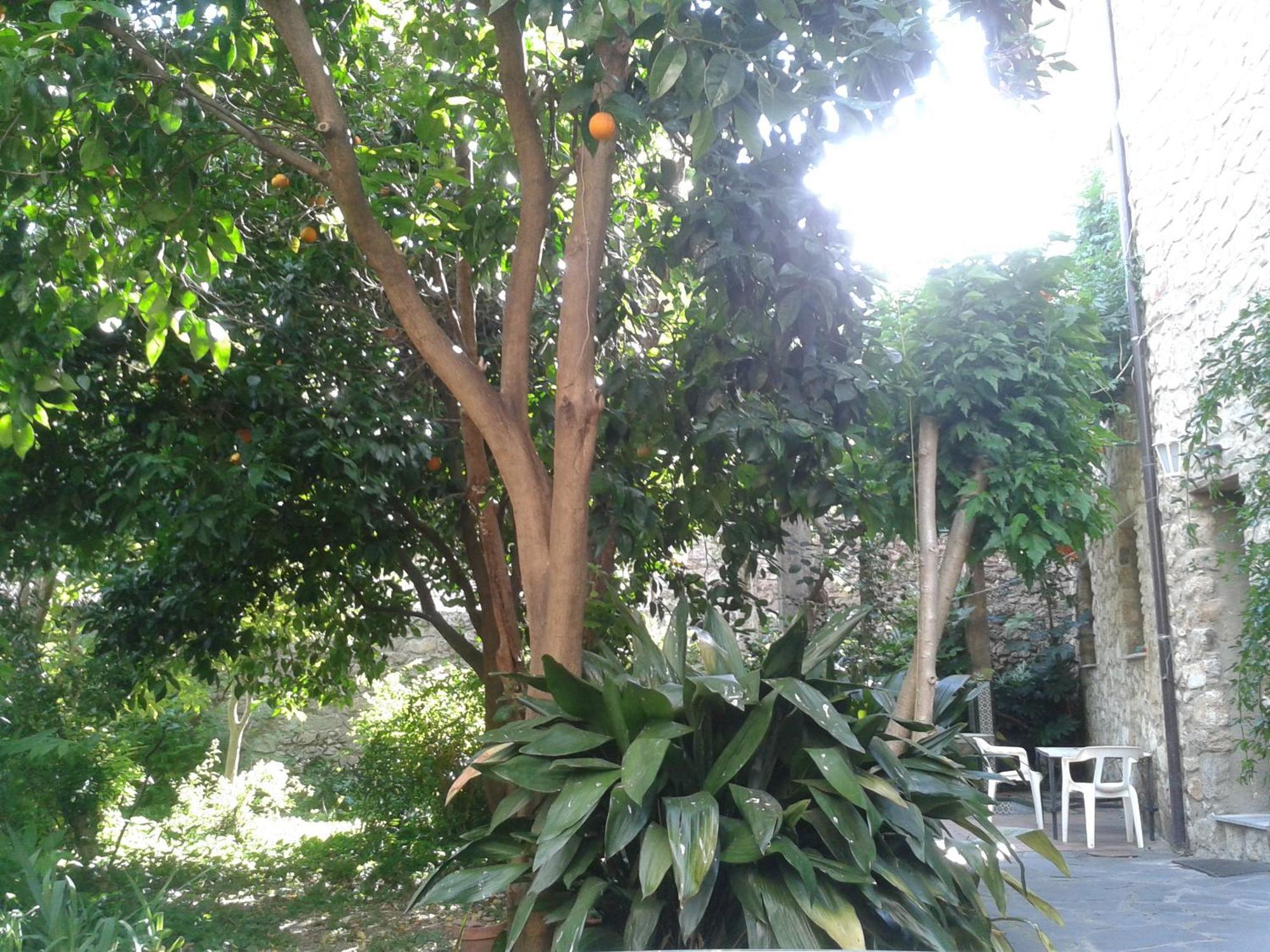 Casa Rural Corvina Acebo Exterior foto